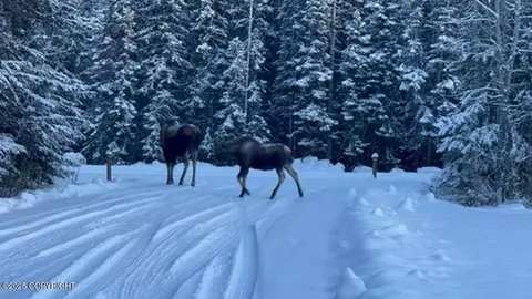 Other - 2578 Kalispell Loop, North Pole, AK 99705 photo 12 of 16