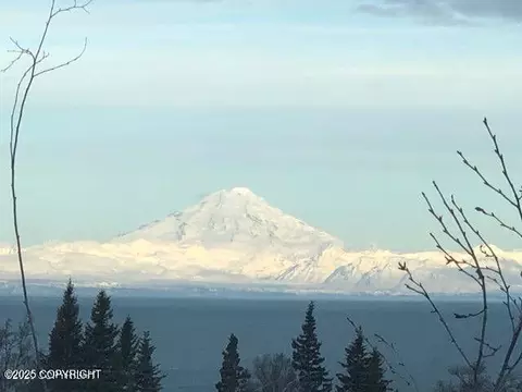 17751 Arcturus Loop, Ninilchik, AK 99639 photo 3