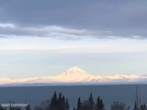 17751 Arcturus Loop, Ninilchik, AK 99639 photo 46