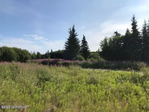 17751 Arcturus Loop, Ninilchik, AK 99639 photo 47