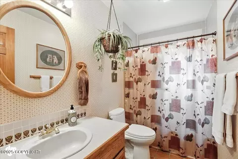 311 Alpine Meadows Ave, Girdwood, AK 99587 photo 44