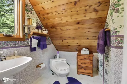 311 Alpine Meadows Ave, Girdwood, AK 99587 photo 51