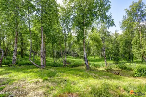 12861 W Willow Fishhook Rd, Willow, AK 99688 photo 14
