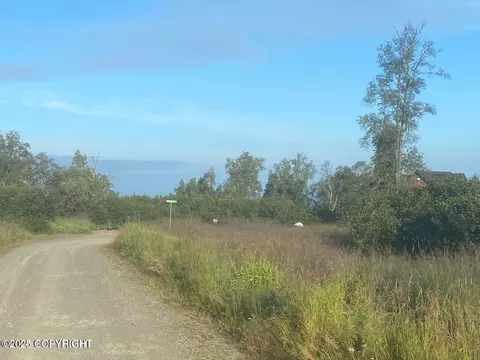 60576 Jannys Ave, Clam Gulch, AK 99568