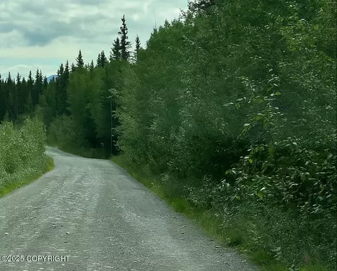 lot21 Dixon Dr, Copper Center, AK 99573
