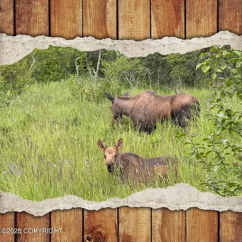 66307 Lothrop Pk Dr, Ninilchik, AK 99639