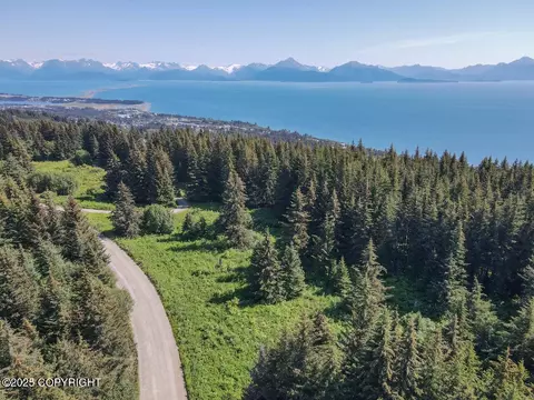 000 Highland Dr, Homer, AK 99603