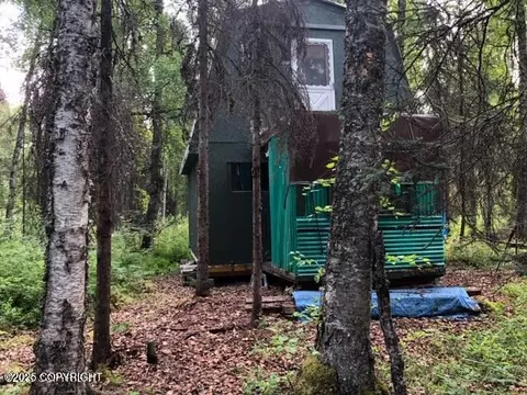 48615 S Dolly Varden Dr, Willow, AK 99688