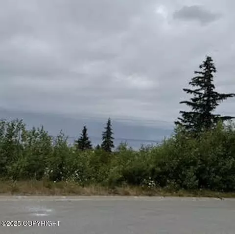 18936 Scenic Hill Dr, Anchorage, AK 99516