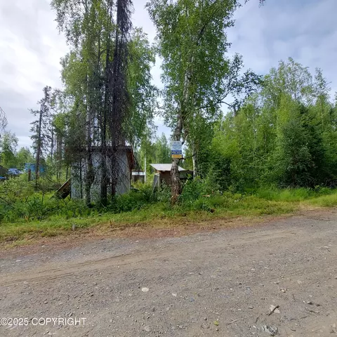 15854 E Greenleaf Dr, Talkeetna, AK 99676