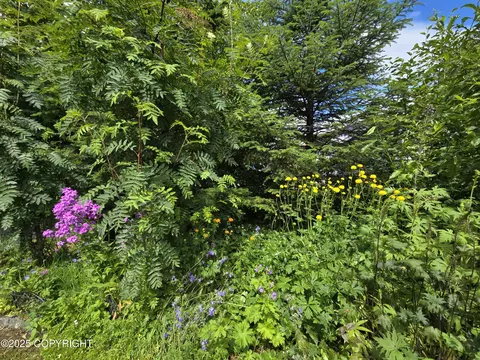 1700 Phoenix Rd, Seward, AK 99664 photo 22
