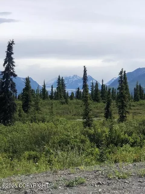 51384 S Summit Loop, Chickaloon, AK 99674