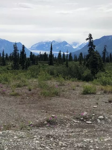 51384 S Summit Loop, Chickaloon, AK 99674 photo 3