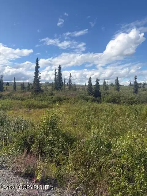 51384 S Summit Loop, Chickaloon, AK 99674 photo 2