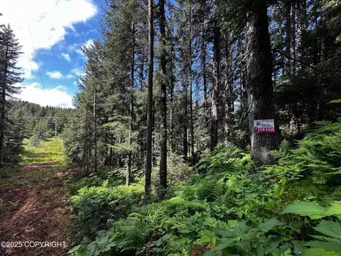 L8 B12 Malcolm Street, Seldovia, AK 99663