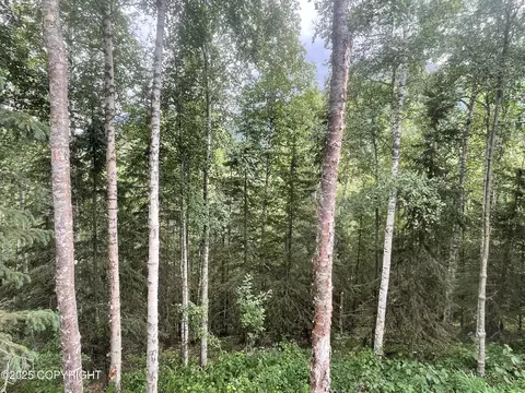 20104 Highland Ridge Dr, Eagle River, AK 99577 photo 6