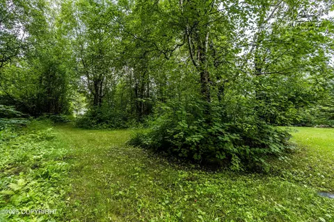 Exterior - 25220 Schaff Dr, Chugiak, AK 99567 photo 8 of 14
