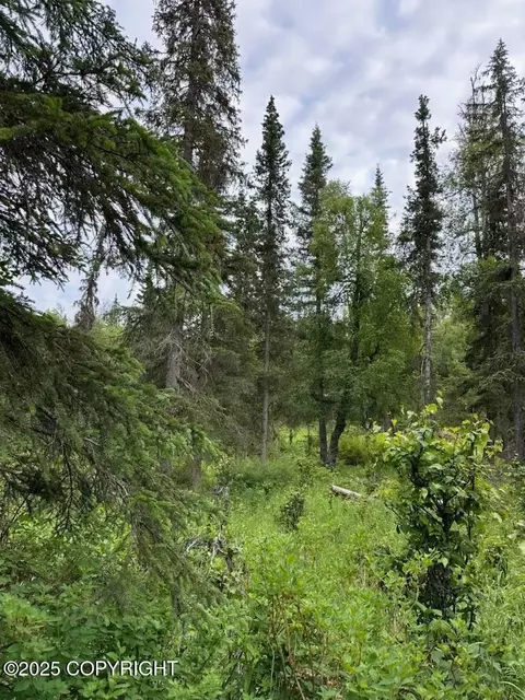 000 Cassidy Dr, Kasilof, AK 99610