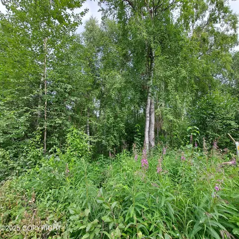 B3 L1 S Jefferson Street, Talkeetna, AK 99676
