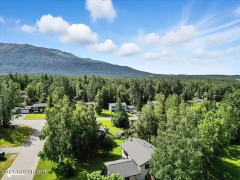 View/Area - 10826 Goodpaster Cir, Eagle River, AK 99577 photo 5 of 7