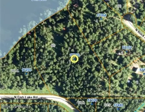 17338 N Fish Lake Rd, Chickaloon, AK 99674