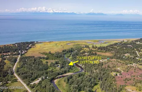 73790 Cuffel Ditton Rd, Anchor Point, AK 99556