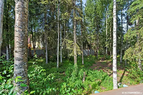 8756 Inyo Cir, Eagle River, AK 99577 photo 55