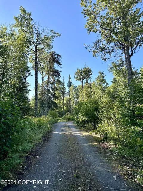 49837 Toloff Rd, Nikiskinorth Kenai, AK 99611