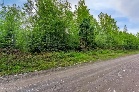 47100 S Bitin Dr, Willow, AK 99688