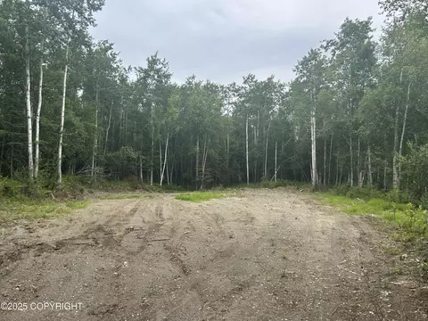 46737 Tauriainen Trl, Nikiskinorth Kenai, AK 99635