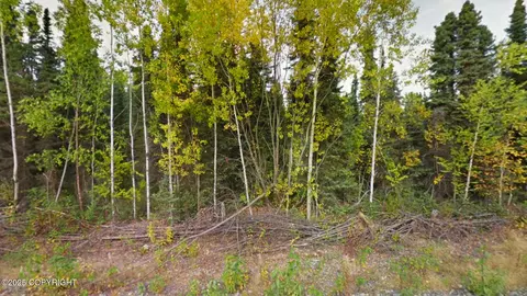 13945 E Beaver Dr, Willow, AK 99688 photo 3