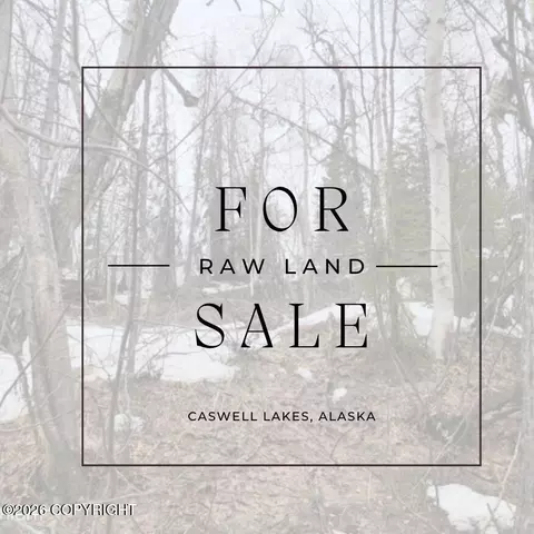 Nhn E Spinner Avenue, Willow, AK 99688