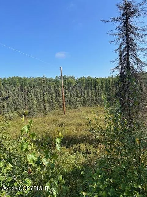 7833 S Irish Ln, Big Lake, AK 99652