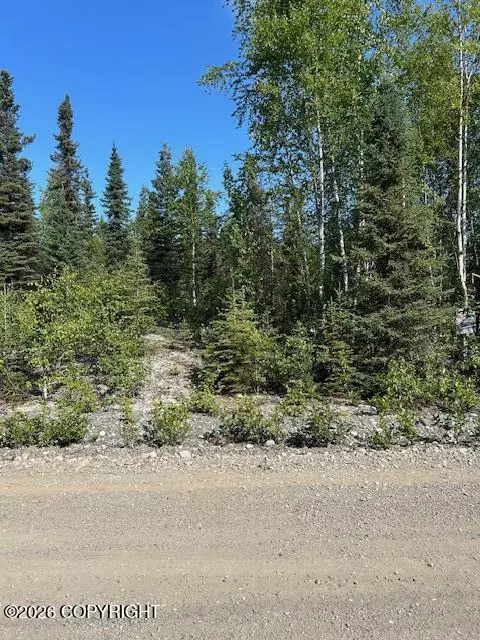 21247 W Dublin Ct, Big Lake, AK 99652