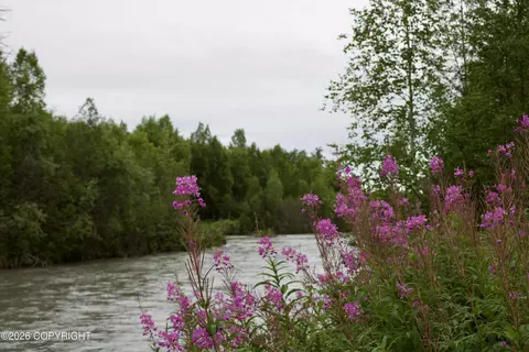 View/Area - 13763 E Hideaway Dr, Willow, AK 99688 photo 2 of 2