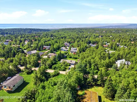 View/Area - 13100 Saunders Rd, Anchorage, AK 99516 photo 7 of 7