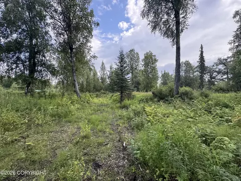11360 E Wolf Trl, Trapper Creek, AK 99683