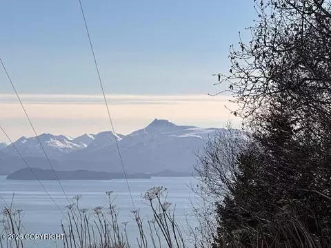 500 Paintbrush Ct, Homer, AK 99603