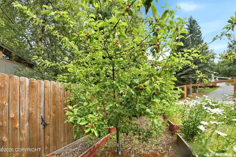 Exterior - 10014 Main Tree Dr, Anchorage, AK 99507 photo 23 of 25