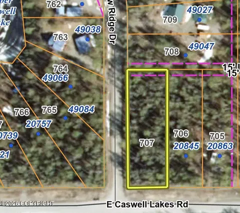 000 Caswell Lakes Rd, Willow, AK 99688