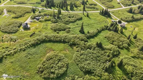38508 Mossberg Dr, Homer, AK 99603