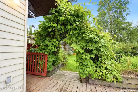 Exterior - 7237 Basel St, Anchorage, AK 99507 photo 3 of 7