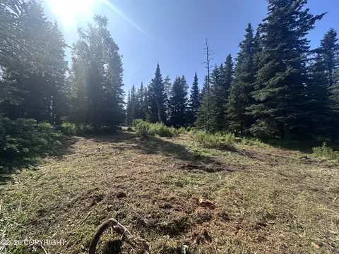 69272 Royce Dr, Anchor Point, AK 99556