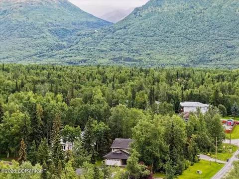 View/Area - 20010 Constitution Dr, Eagle River, AK 99577 photo 7 of 11