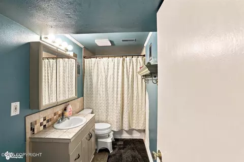 Bath - 6601 Eileen Cir, Anchorage, AK 99507 photo 3 of 3