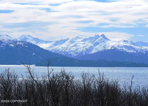 View/Area - 2430 Mount Augustine Dr, Homer, AK 99603 photo 3 of 3