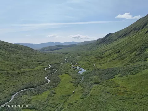 000 Dutch Creek Gold Claims, Trapper Creek, AK 99683