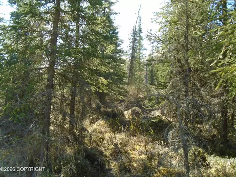 L6 River Circle, Eagle River, AK 99577 photo 2