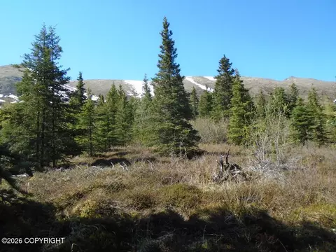 L2 West River Drive, Eagle River, AK 99577 photo 2