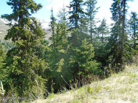 L2 West River Drive, Eagle River, AK 99577 photo 4